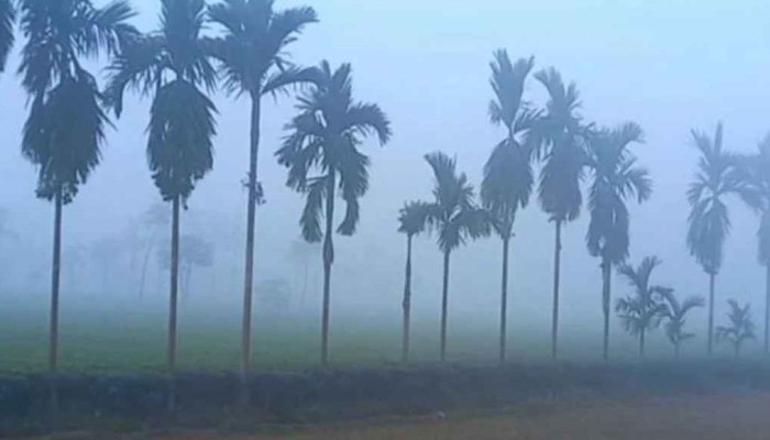 ​পঞ্চগড়ে জেঁকে বসেছে শীত