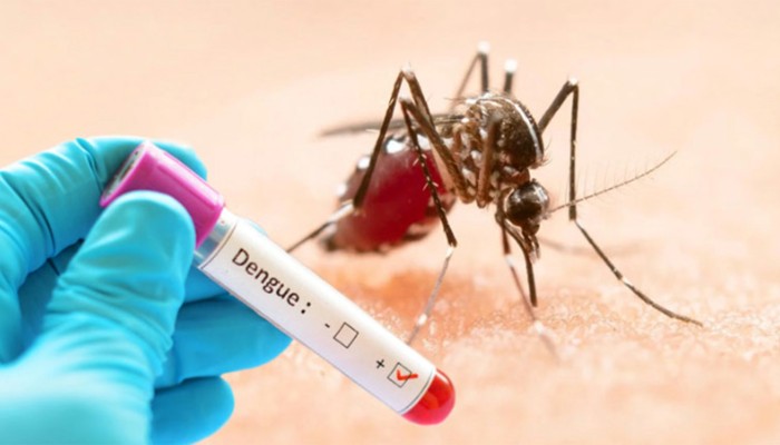 ​ডেঙ্গুতে দুইজনের মৃত্যু, হাসপাতালে ৬১০