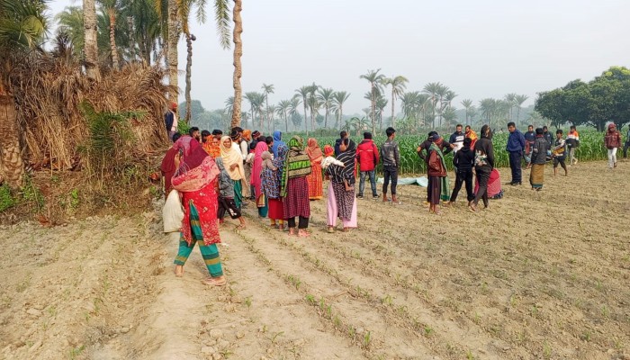 চুয়াডাঙ্গায় যুবককে গলা কেটে হত্যা