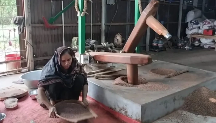 প্রযুক্তির ছোয়ায় ফিরছে বাংলা ঐতিহ্যের প্রতীক ঢেঁকি