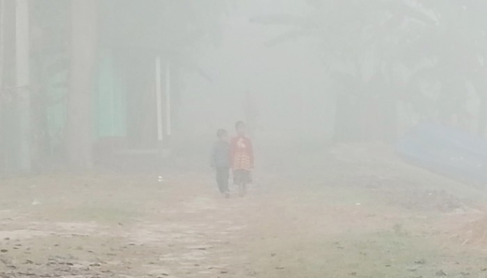 ​তেঁতুলিয়ায় ফের ১০ ডিগ্রির ঘরে নামল তাপমাত্রা