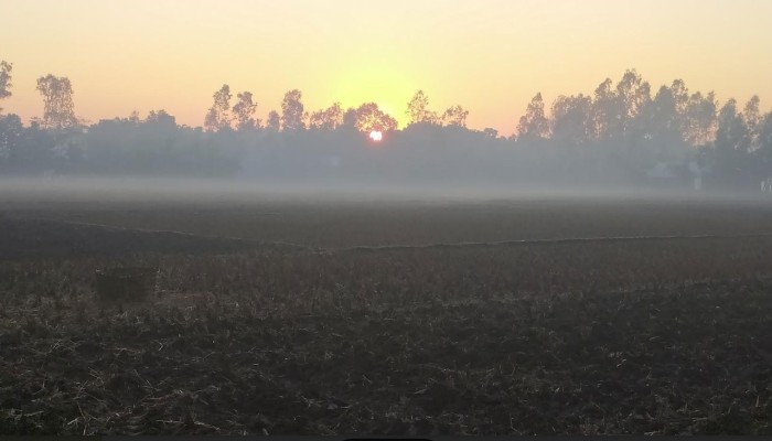 তেঁতুলিয়ায় এক সপ্তাহ ধরে বইছে মৃদু শৈত্যপ্রবাহ