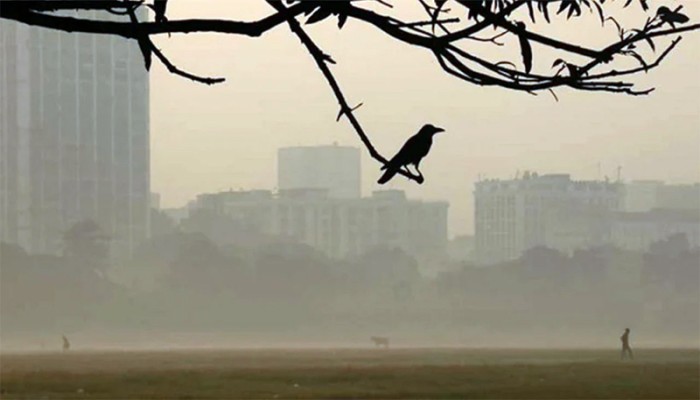 ​ঢাকায় তাপমাত্রা নেমেছে ১৫ ডিগ্রিতে, বাড়ছে শীতের অনুভূতি