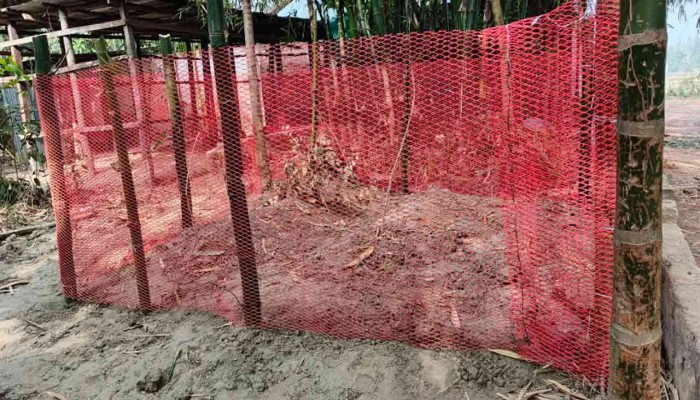 ​পাশাপাশি চিরনিদ্রায় শায়িত অগ্নিদগ্ধ দুই বোন আয়েশা-স্মৃতি