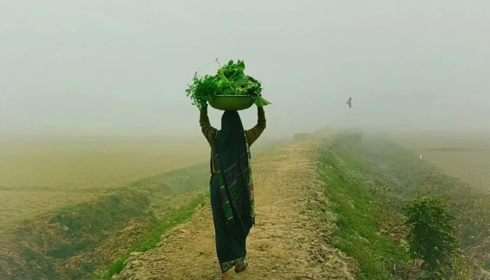 ​দেশের বিভিন্ন স্থানে বইছে শৈত্যপ্রবাহ