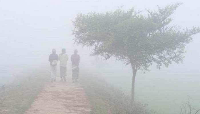 ​শৈত্যপ্রবাহ কাটলেও কয়েকদিন থাকবে ঘন কুয়াশা ও ঠাণ্ডার অনুভূতি