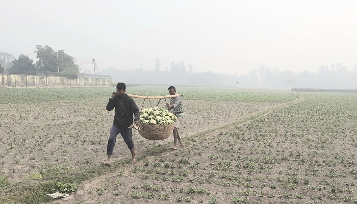 ​শীতে বিপর্যস্ত কুড়িগ্রাম, বইছে শৈত্য প্রবাহ