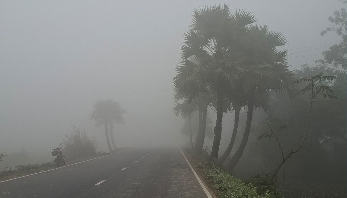 ​নওগাঁয় মৃদু শৈত্যপ্রবাহ, তাপমাত্রা নেমেছে ৯ ডিগ্রিতে