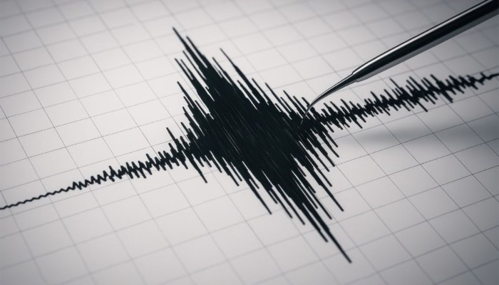 ​শক্তিশালী ভূমিকম্পে কেঁপে উঠল জাপান