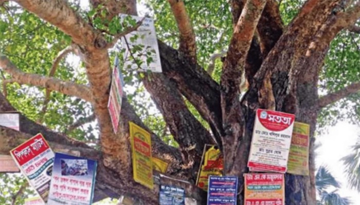 ​গাছে পেরেক লাগালে ২০ হাজার টাকা জরিমানা
