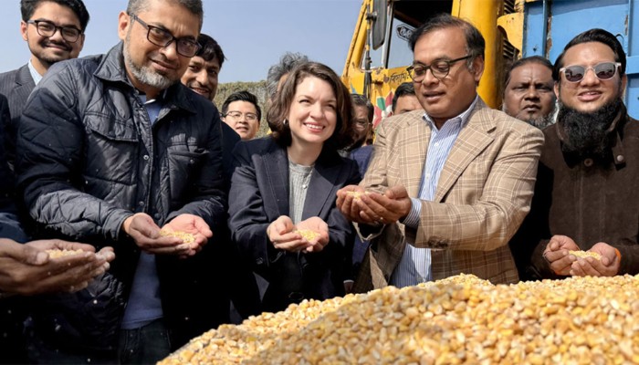 ​বাংলাদেশে এলো যুক্তরাষ্ট্রের ভুট্টা