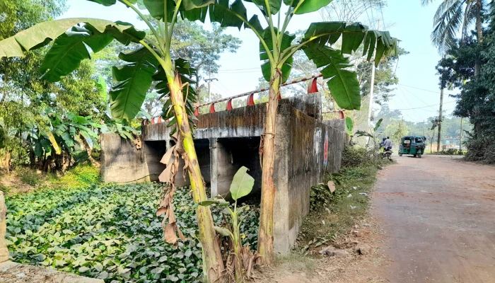 ​দেড় কোটি টাকার সেতু যখন ভোগান্তির কারণ