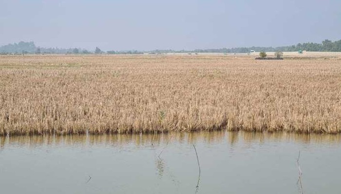 ​সীমান্তে ঘুম নেই বাংলাদেশীদের