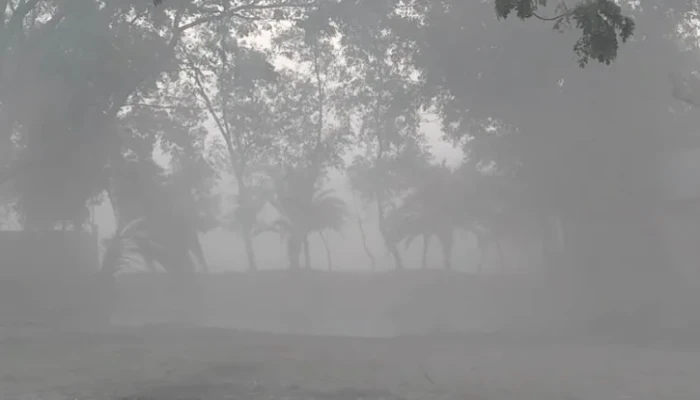 ​পটুয়াখালীতে গুঁড়ি গুঁড়ি বৃষ্টির মতো ঝরছে কুয়াশা