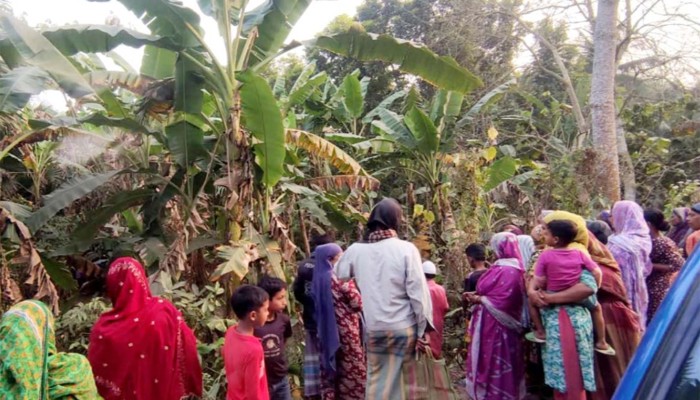 ​সালথায় কলাবাগান থেকে গৃহবধূর মরদেহ উদ্ধার