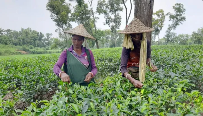 ​‘ভোটে আমাদের নয়, নির্বাচিতদের জীবনে পরিবর্তন আসে’