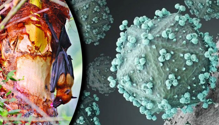 বাংলাদেশে নতুন ভাইরাসের  শনাক্ত