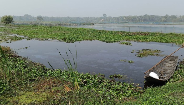 তিন যুগের ‘জলাবদ্ধতা’ নিরসন চান ভোটাররা