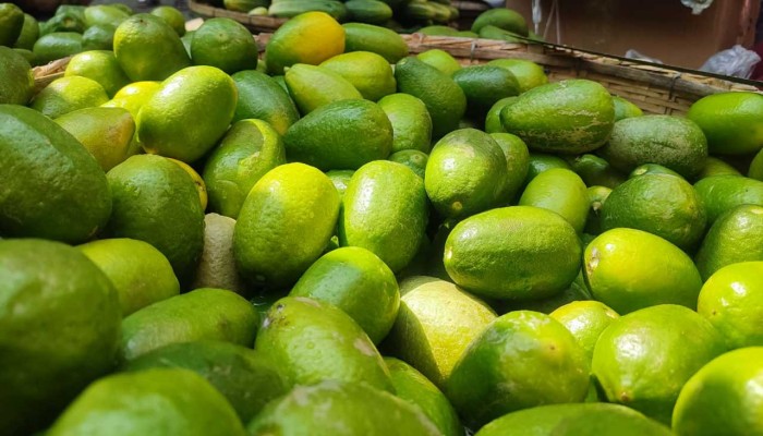 ​চোখ রাঙাচ্ছে লেবু, ছোঁয়া যাচ্ছে না বেগুন