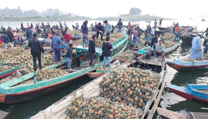 ​ভাসমান হাটে কমেছে আনারসের দাম, হতাশ চাষিরা