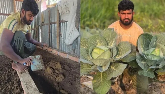 ​চাকরি ছেড়ে হলেন কৃষি উদ্যোক্তা, পেলেন সফলতা