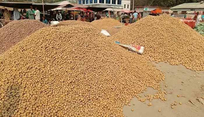 নওগাঁয় আলুর দামে ধস, পথে বসার উপক্রম কৃষকদের