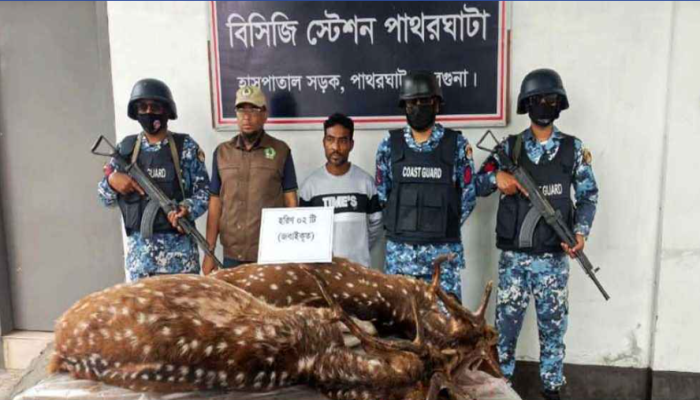 বন্যপ্রাণী শিকার করায় স্বামীকে তালাক দিলেন স্ত্রী