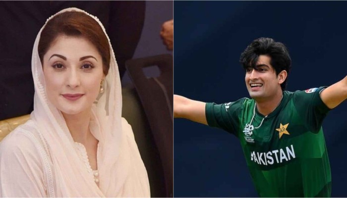 মরিয়ম নওয়াজকে নিয়ে বিতর্কিত টুইট, বিপাকে পাকিস্তানি পেসার