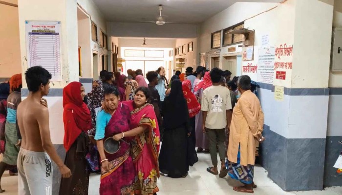 শৈলকূপায় বজ্রপাতে নিহত ২, আহত ৪