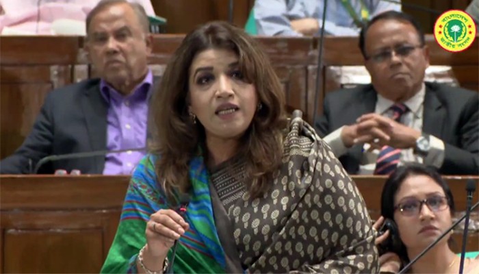 দেশে কোনো জ্বালানি সংকট নেই বলামাত্র উত্তপ্ত সংসদ