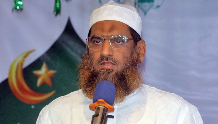 ​বিএনপি সবচেয়ে বেশি পানি ঘোলা করে পান করে: মামুনুল হক