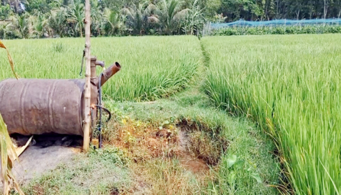 বিপাকে ঝিনাইদহের ৬০ হাজার সেচপাম্প নির্ভর চাষি