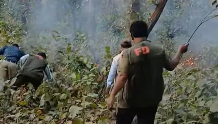 বার বার বনে আগুন: হুমকিতে জীববৈচিত্র্য