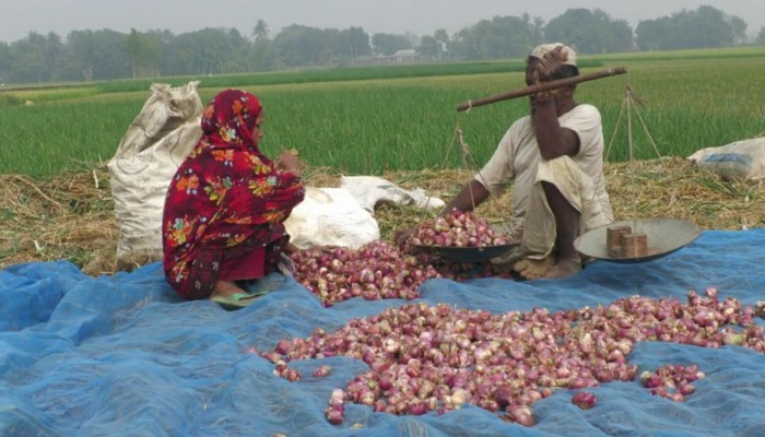 ​মাঠে হাসি ঘরে কান্না!