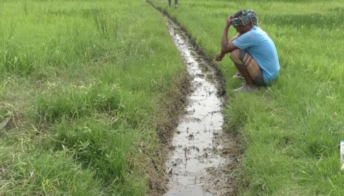 জ্বালানি সংকটে সেচ বন্ধের উপক্রম