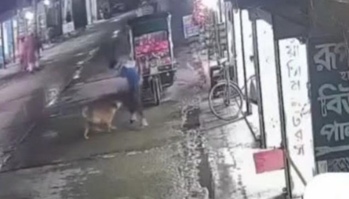 কিশোরগঞ্জে পাগলা কুকুরের কামড়ে ৫০ জন আহত