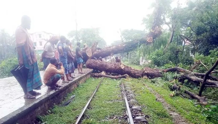 নোয়াখালী ঝড়ে রেললাইনে গাছ পড়ে ট্রেন চলাচলে বিঘ্ন