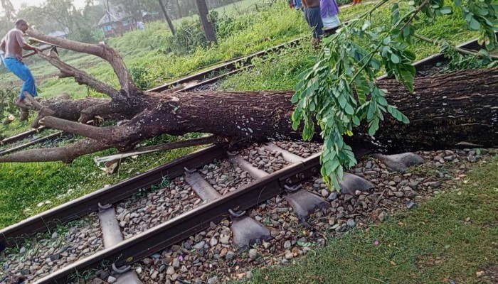 নোয়াখালী ঝড়ে রেললাইনে গাছ পড়ে ট্রেন চলাচলে বিঘ্ন