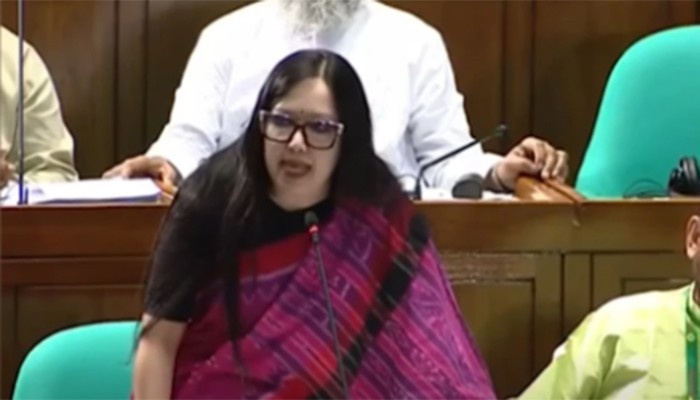 ​মনোনয়ন না দেওয়ায় বিএনপিকে ধন্যবাদ জানালেন রুমিন ফারহানা