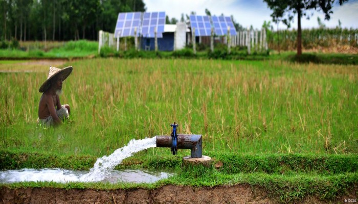 কৃষিতে দারুণ সম্ভবনা : সাশ্রয় হবে ২৫ হাজার কোটি টাকা