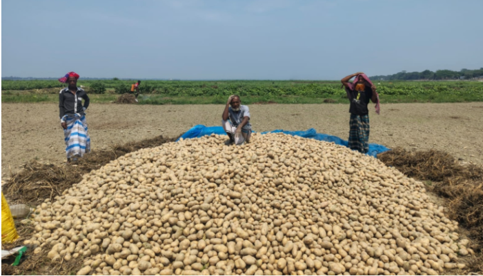 এক ঝড়ে লন্ডভন্ড কৃষকের স্বপ্ন