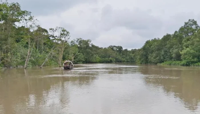 মধু সংগ্রহে ভাটা: আতঙ্কে সুন্দরবনে যাচ্ছেন না মৌয়ালরা