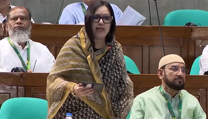 ​আমার এলাকার হাসপাতাল নিজেই একটা রোগীর মতো: রুমিন ফারহানা