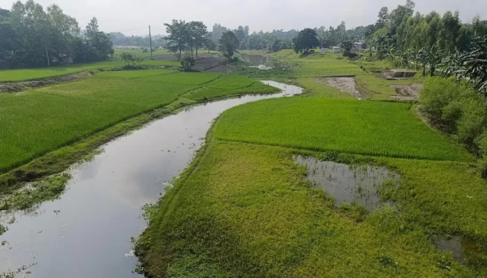 ঝিনাই নদী এখন মরা খাল, দখল-বর্জ্যে হারিয়েছে নাব্যতা