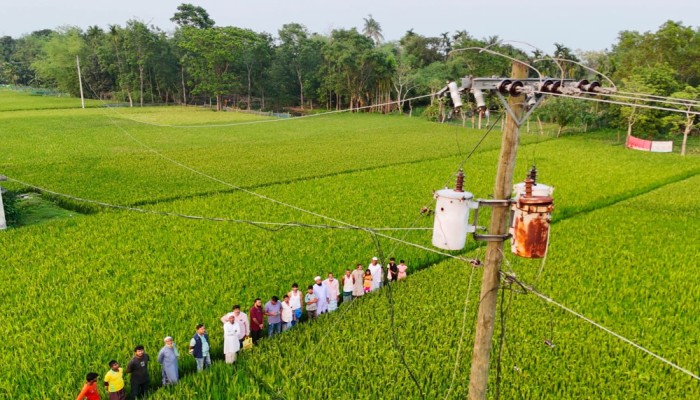 হালুয়াঘাটে একাধিক ট্রান্সফরমারের কয়েল চুরির অভিযোগ