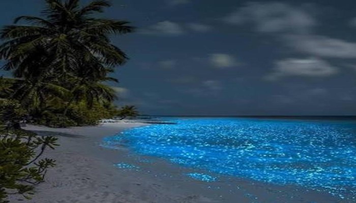 রাত হলেই সমুদ্রপাড়ে জ্বলে ওঠে রহস্যময় আলো!