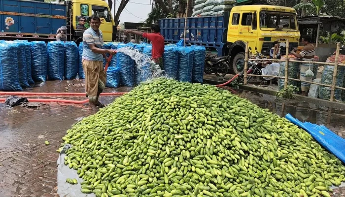 ট্রাক ভাড়া বেড়েছে ১০ হাজার টাকা পর্যন্ত