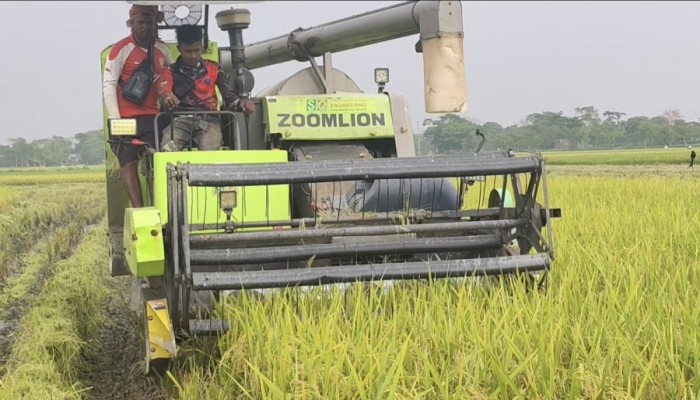 জ্বালানি সংকটে অচল কৃষিযন্ত্র
