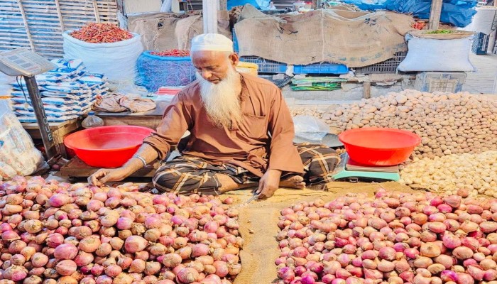 সপ্তাহের ব্যবধানে পেঁয়াজের দাম কমেছে ৫-১০ টাকা