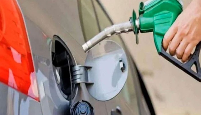 ​জ্বালানি সংকট সমাধানে সংসদে বিশেষ কমিটি গঠন, মেয়াদ ৩০ দিন